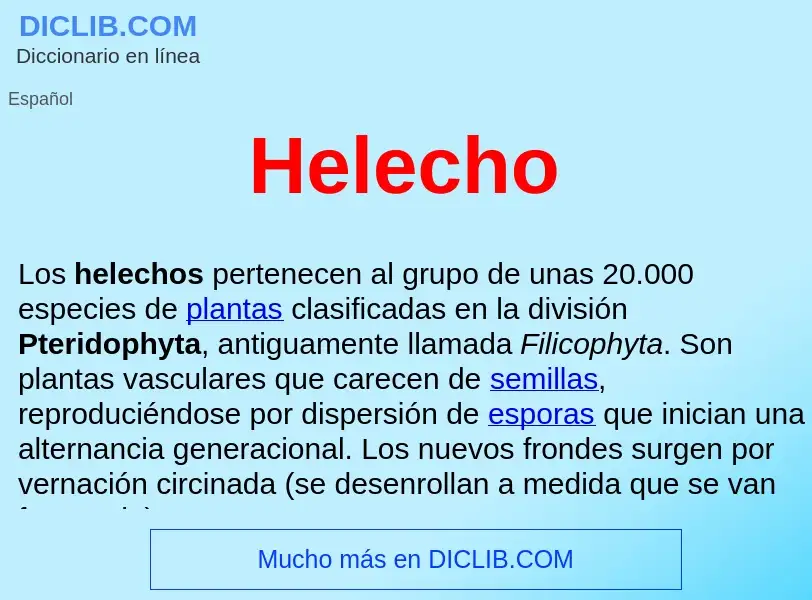 ¿Qué es Helecho ? - significado y definición