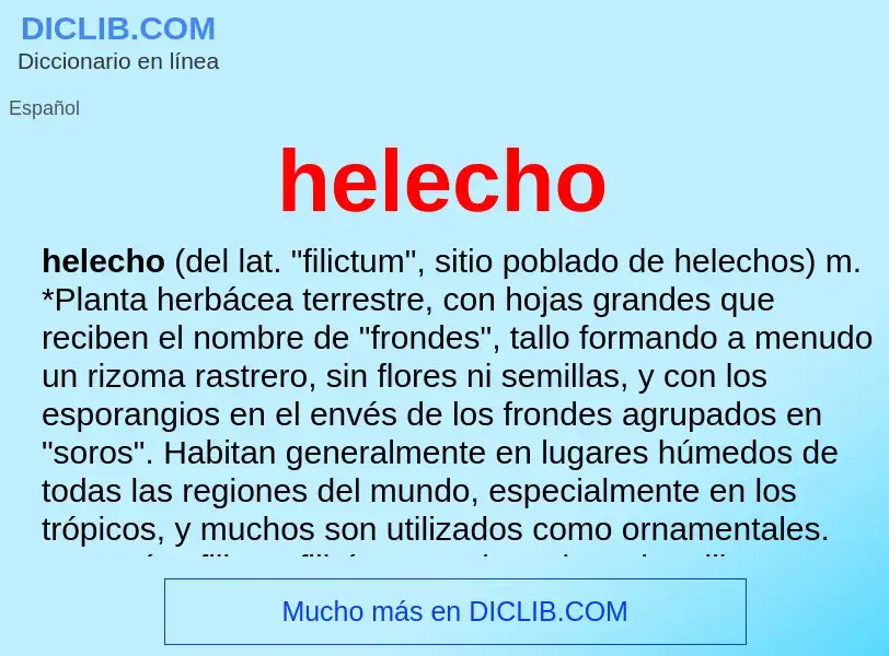 O que é helecho - definição, significado, conceito