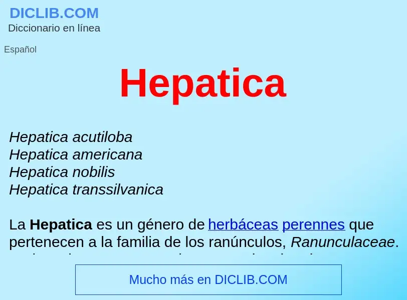 ¿Qué es Hepatica ? - significado y definición