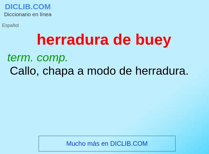 What is herradura de buey - meaning and definition