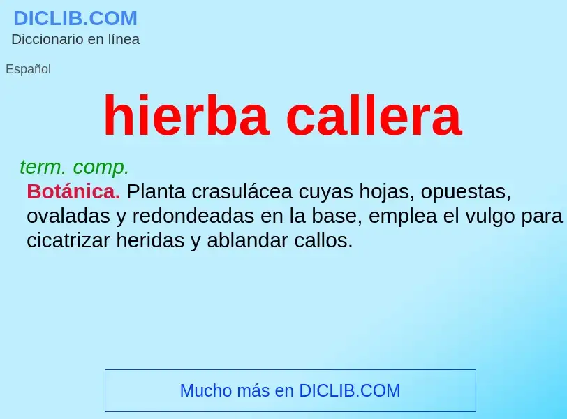 Was ist hierba callera - Definition