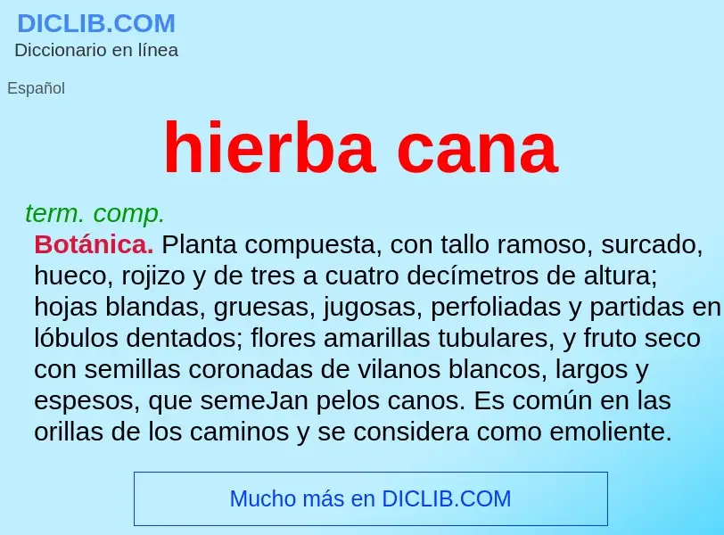 What is hierba cana - definition