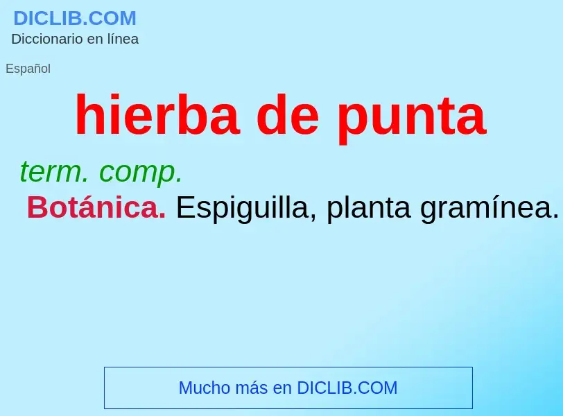 O que é hierba de punta - definição, significado, conceito