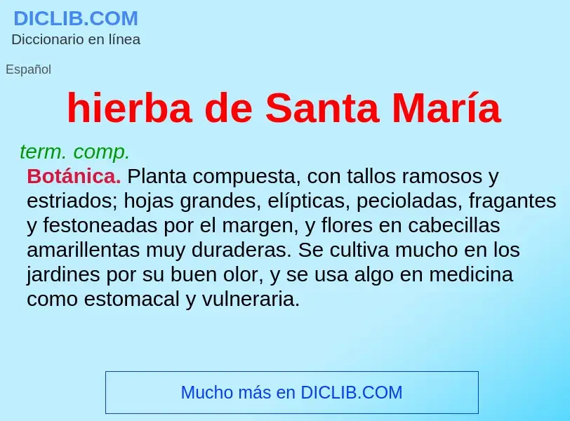 O que é hierba de Santa María - definição, significado, conceito