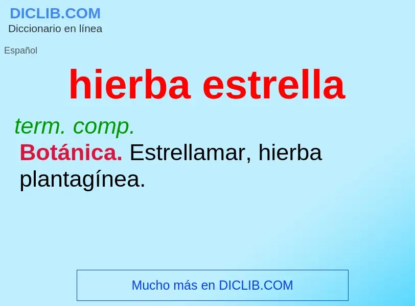 What is hierba estrella - meaning and definition