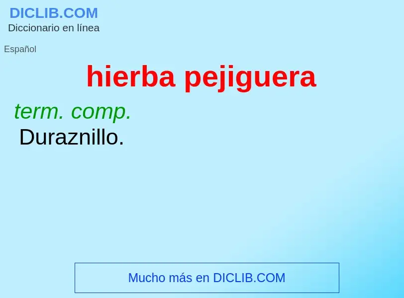 O que é hierba pejiguera - definição, significado, conceito