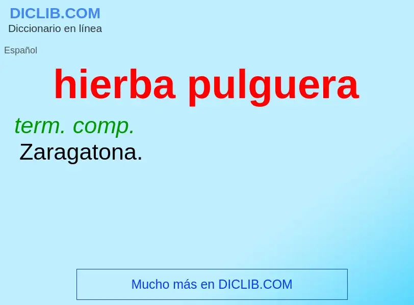 What is hierba pulguera - definition