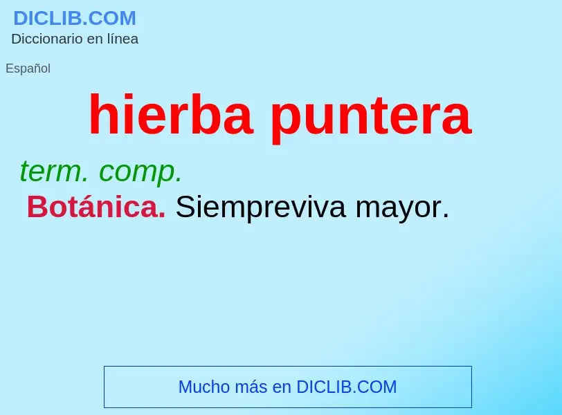 O que é hierba puntera - definição, significado, conceito