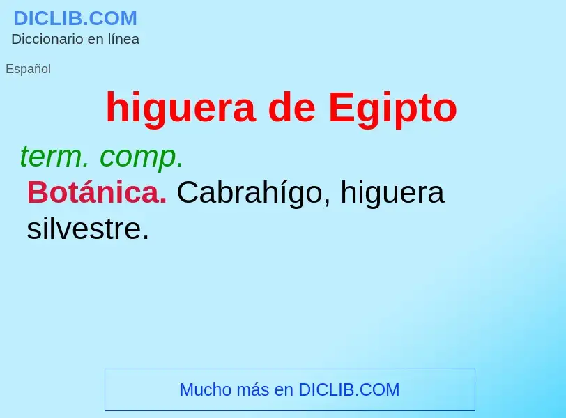 What is higuera de Egipto - definition