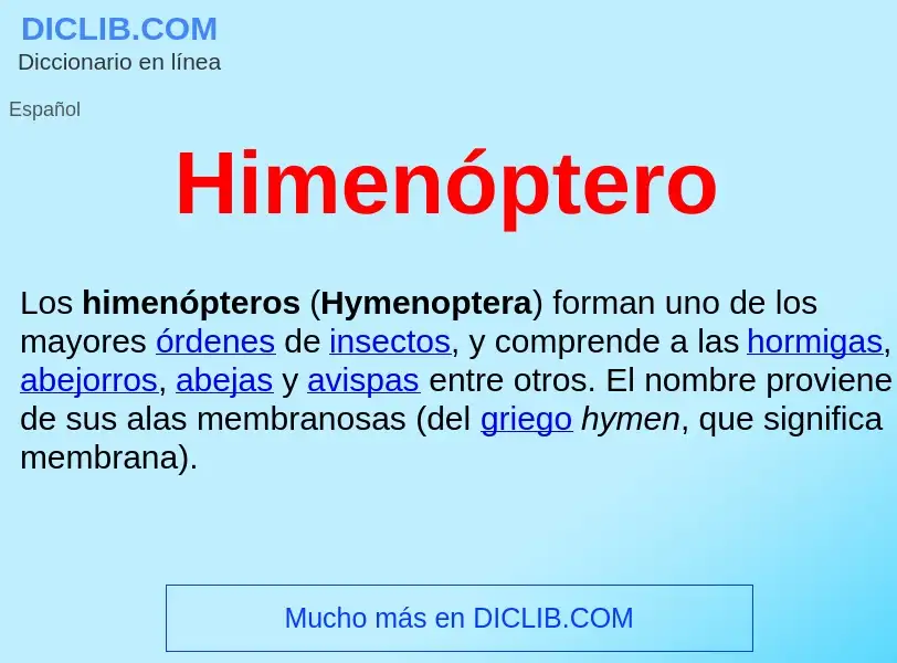 ¿Qué es Himenóptero ? - significado y definición