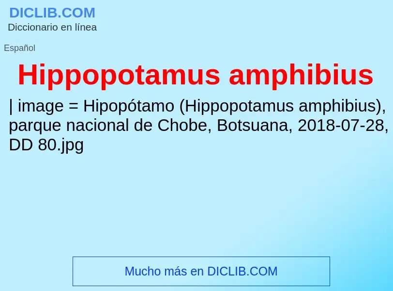 What is Hippopotamus amphibius - meaning and definition