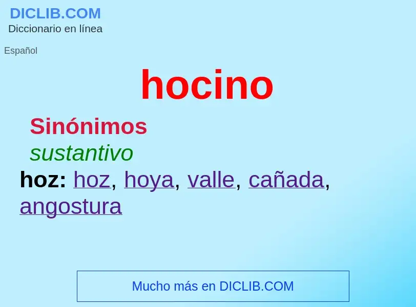 What is hocino - meaning and definition