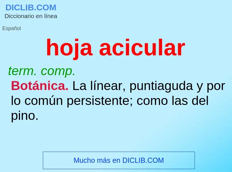 O que é hoja acicular - definição, significado, conceito