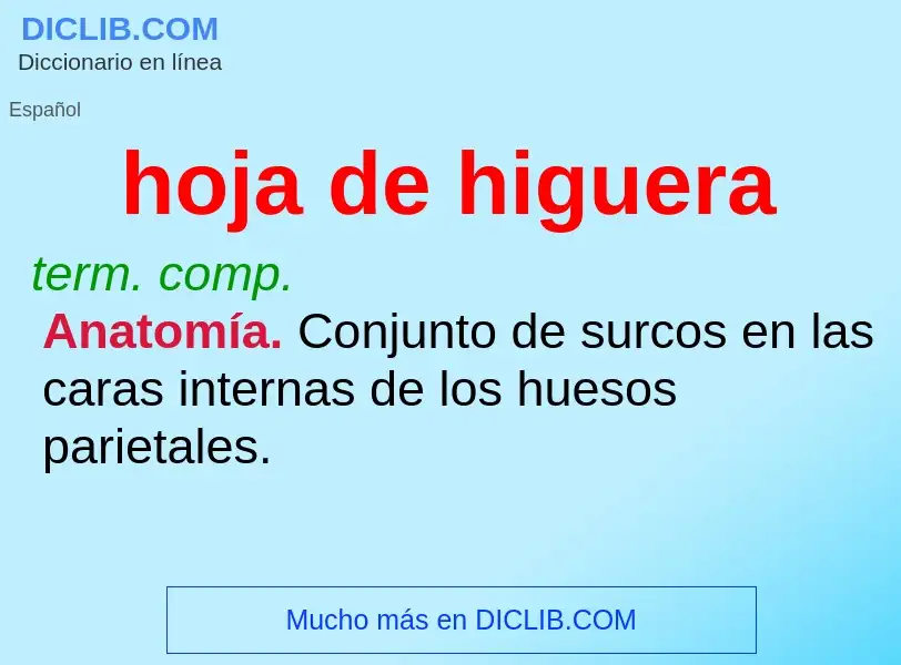 Was ist hoja de higuera - Definition