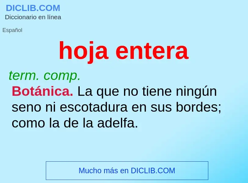 O que é hoja entera - definição, significado, conceito