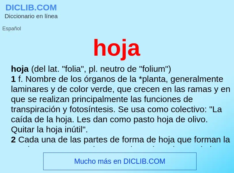 Wat is hoja - definition