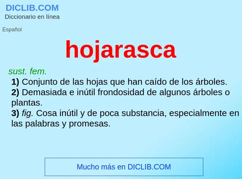 Wat is hojarasca - definition