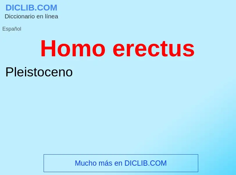 Wat is Homo erectus - definition