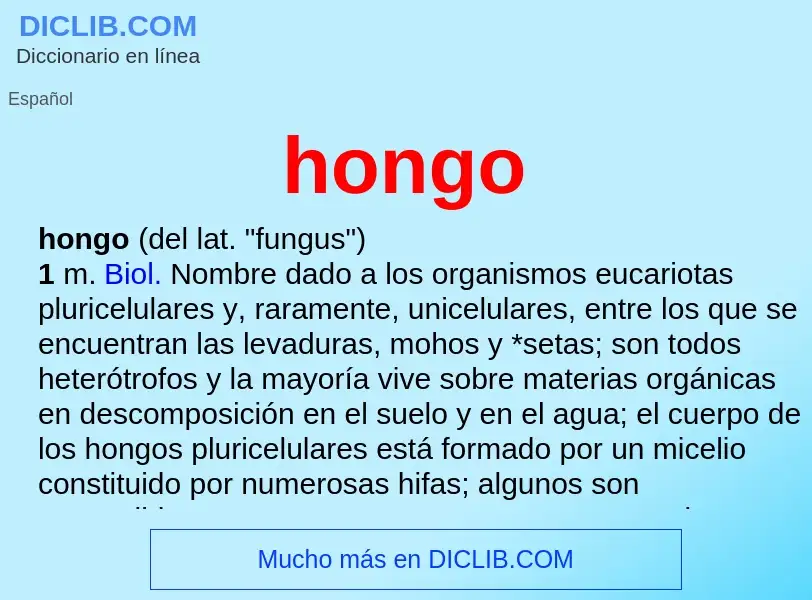 Was ist hongo - Definition