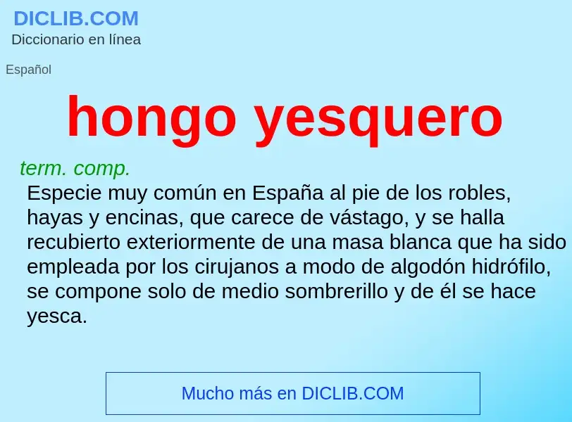 What is hongo yesquero - definition