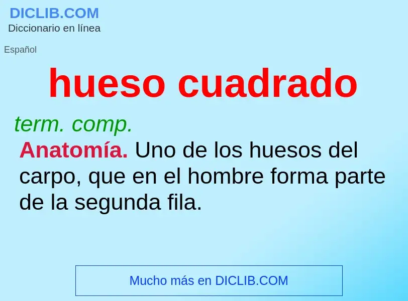 O que é hueso cuadrado - definição, significado, conceito