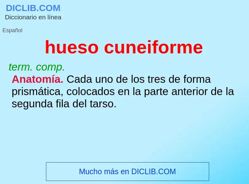 Wat is hueso cuneiforme - definition