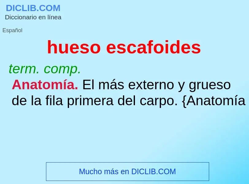 O que é hueso escafoides - definição, significado, conceito