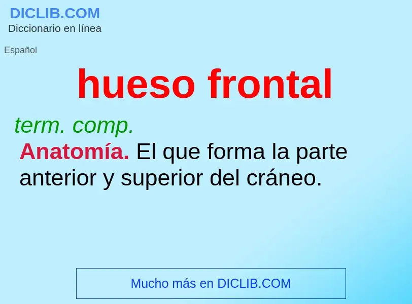 O que é hueso frontal - definição, significado, conceito