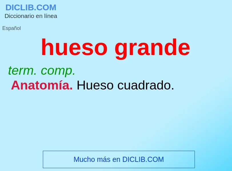 ¿Qué es hueso grande? - significado y definición