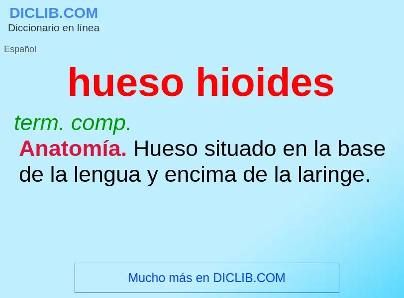 Wat is hueso hioides - definition