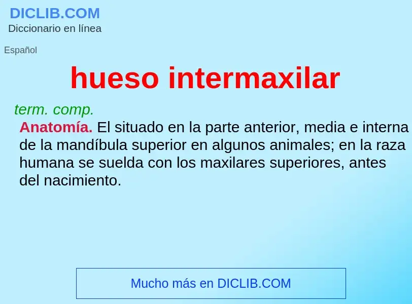 ¿Qué es hueso intermaxilar? - significado y definición