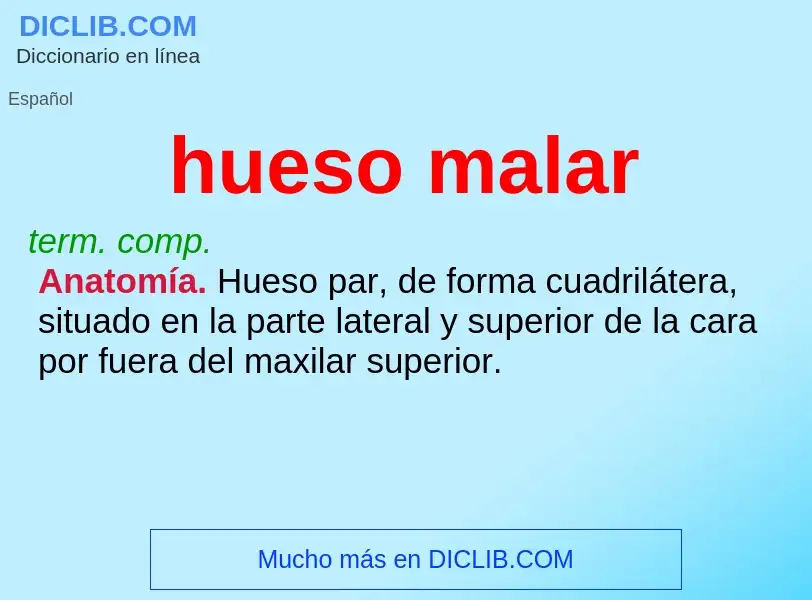 Wat is hueso malar - definition