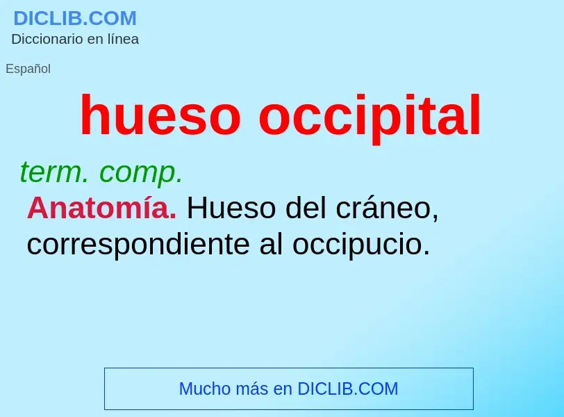 What is hueso occipital - definition