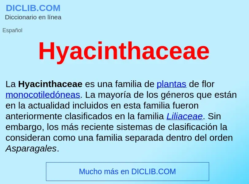 ¿Qué es Hyacinthaceae ? - significado y definición