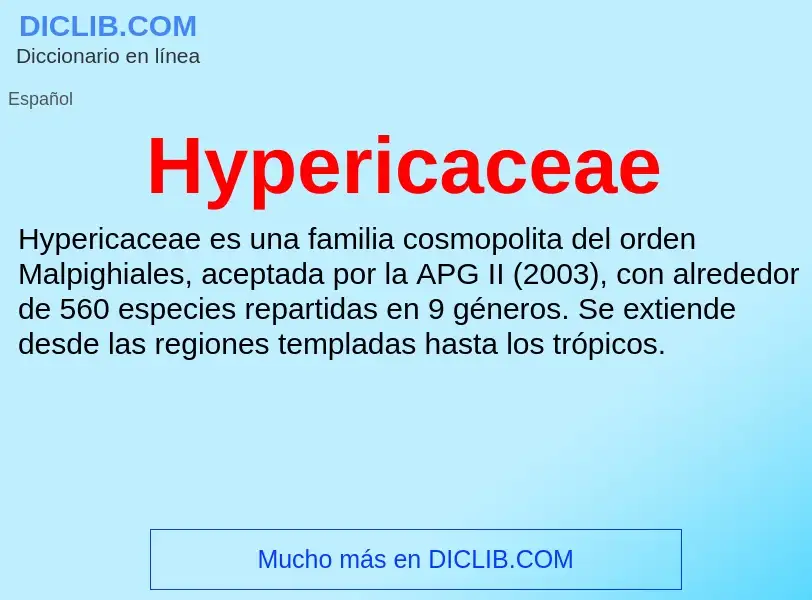 What is Hypericaceae - meaning and definition