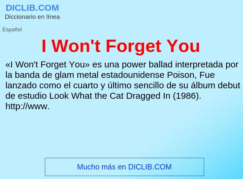 Was ist I Won't Forget You - Definition