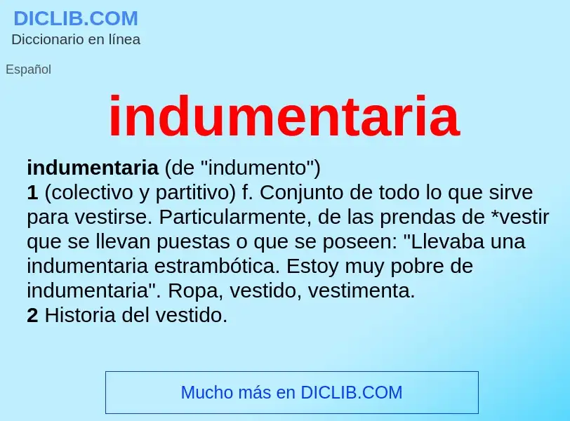 What is indumentaria - definition