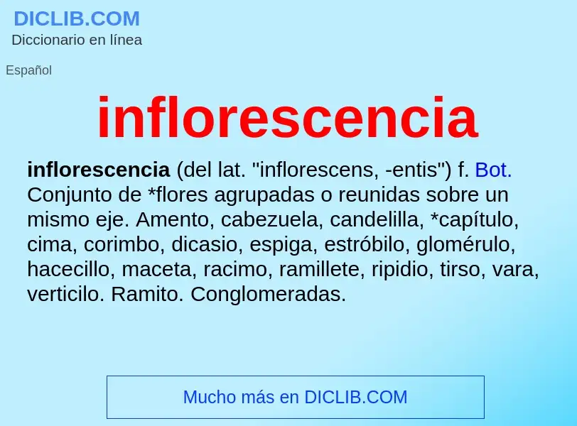 Wat is inflorescencia - definition