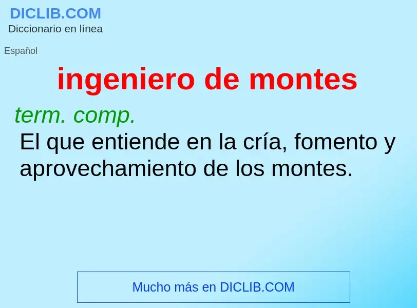 What is ingeniero de montes - meaning and definition