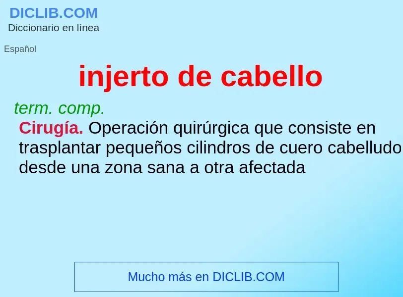 O que é injerto de cabello - definição, significado, conceito