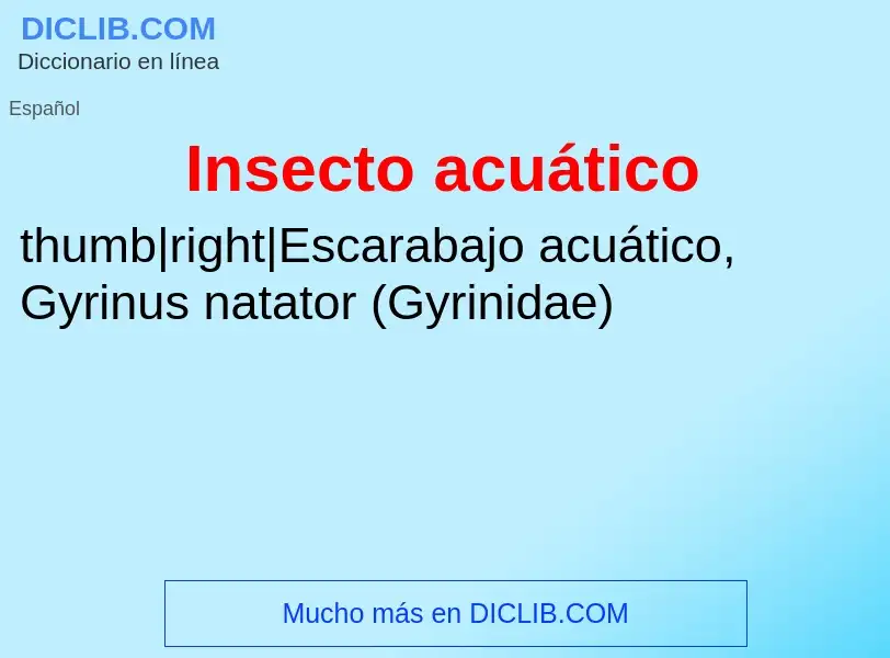 ¿Qué es Insecto acuático? - significado y definición