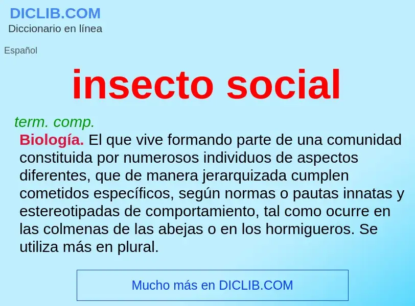 O que é insecto social - definição, significado, conceito