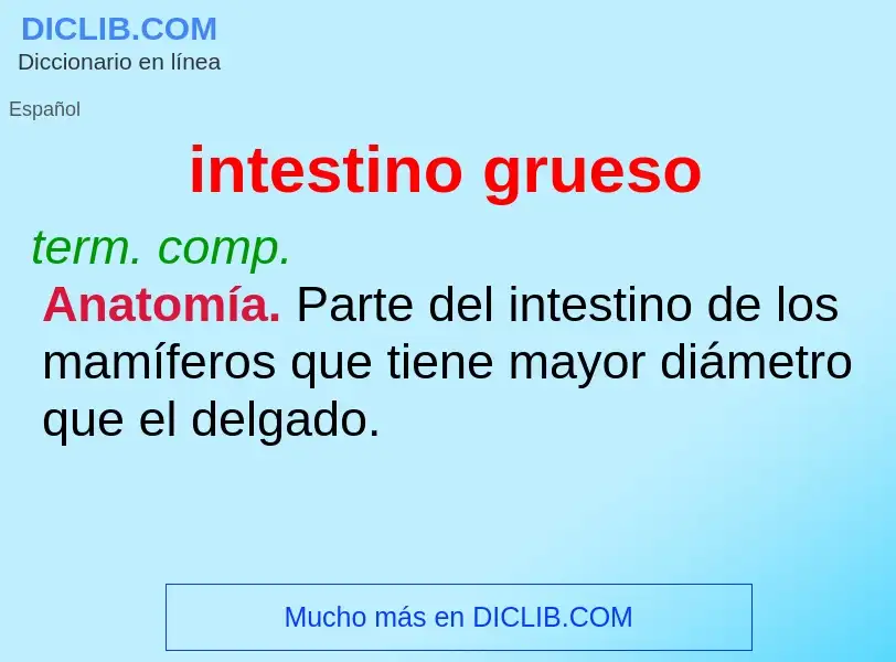 What is intestino grueso - definition