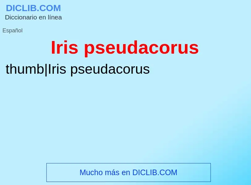 Che cos'è Iris pseudacorus - definizione