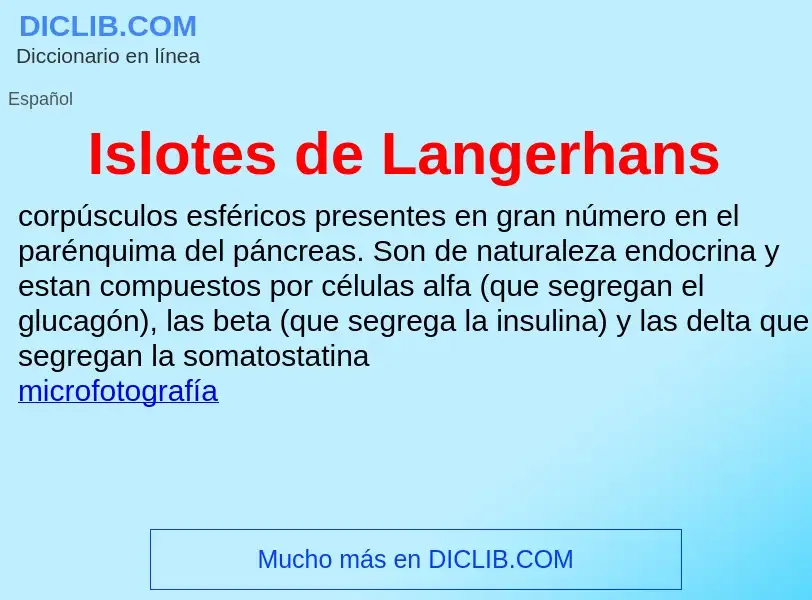 ¿Qué es Islotes de Langerhans? - significado y definición