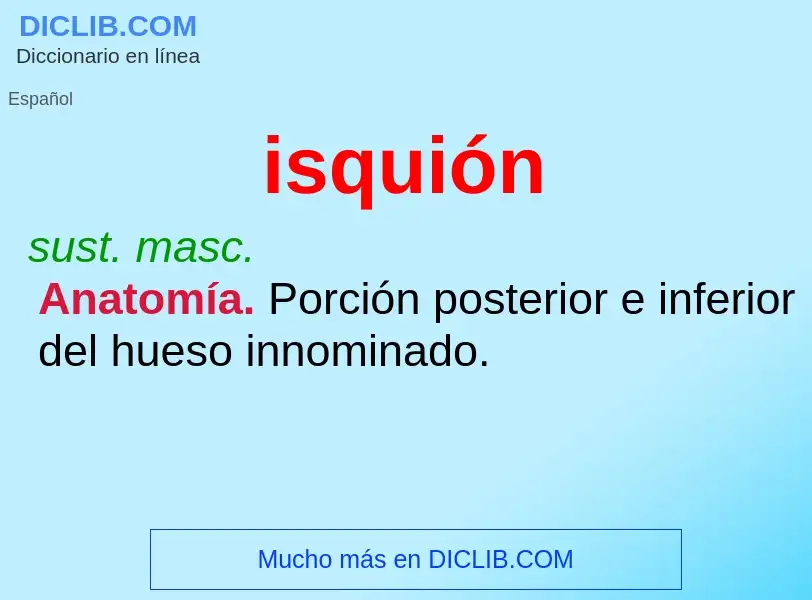 What is isquión - definition