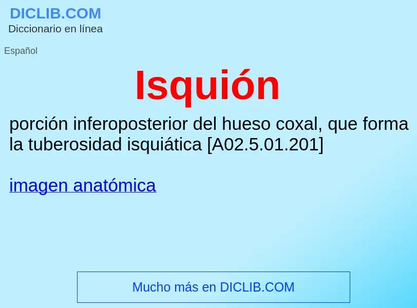 ¿Qué es Isquión? - significado y definición