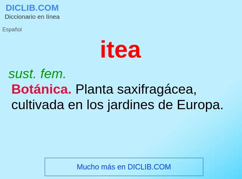 Was ist itea - Definition