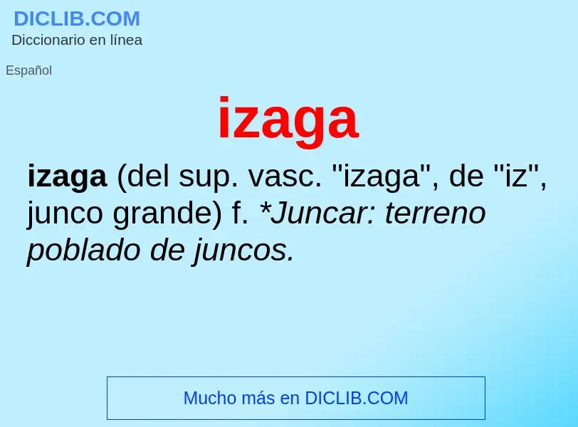 What is izaga - definition