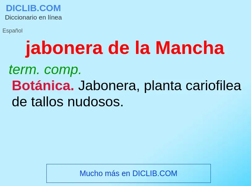 What is jabonera de la Mancha - meaning and definition